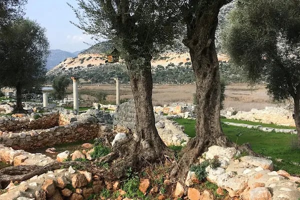 Andriake A Kilisesi - Resim 4