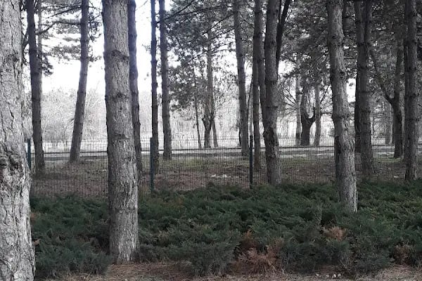 Halil Şıvgın Çubuk Devlet Hastanesi - Resim 7