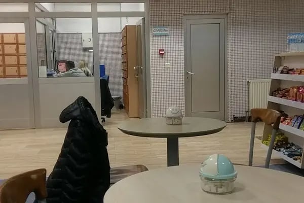 Avcilarolimpik Yüzme Havuzu - Resim 6