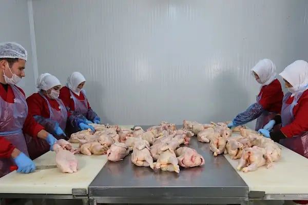 Aktat Turizm Gida Hayvancilik İnşaat Sanayi Ve Ticaret Limited Şirketi - Resim 14