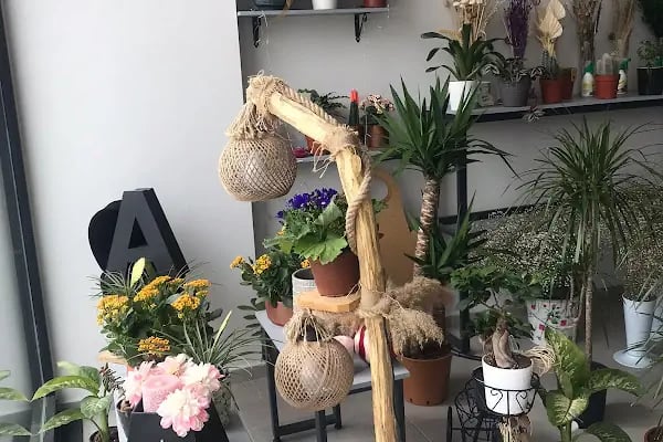 MELİLA FLOWERS - Resim 5