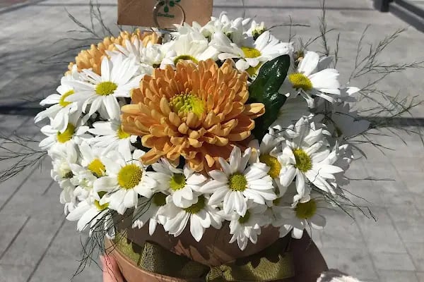 MELİLA FLOWERS - Resim 9