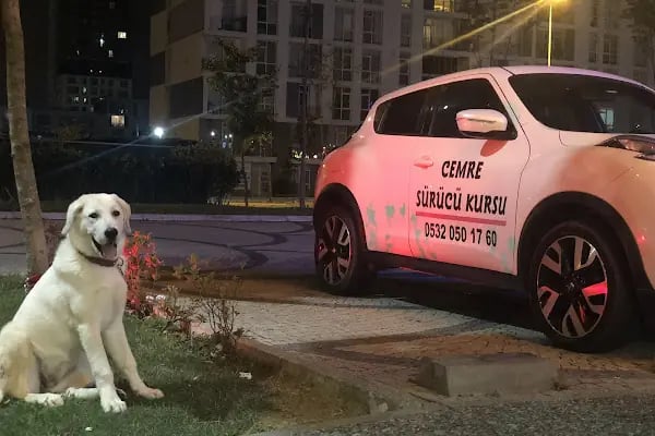 Cemre Sürücü Kursları / Sefaköy - Resim 10