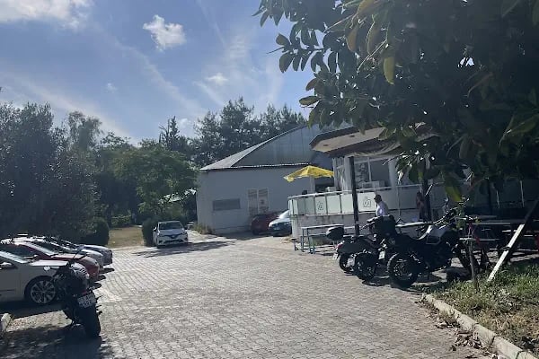 Antalya Yüzme Akademisi - Resim 14