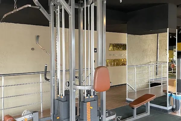 AYGYM Fitness gold - Resim 14