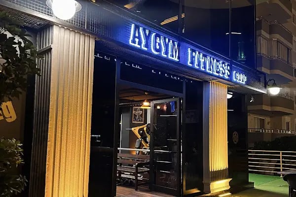 AYGYM Fitness gold - Resim 4