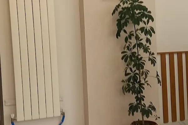 Gönen Diş Polikliniği Tual Dent - Resim 15
