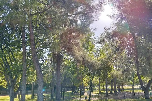 İncilipınar Vali Recep Yazıcıoğlu Parkı - Resim 19