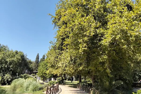 İncilipınar Vali Recep Yazıcıoğlu Parkı - Resim 9