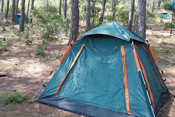 Çamlık Çadır Karavan Kamp Alanı - Resim 14