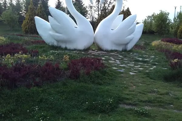 Mogan Tenis Kulübü Derneği - Resim 17
