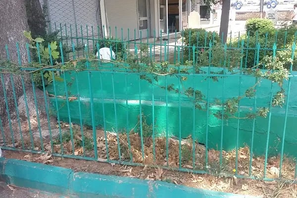 Aşık Doğan Dede Türbesi - Resim 3