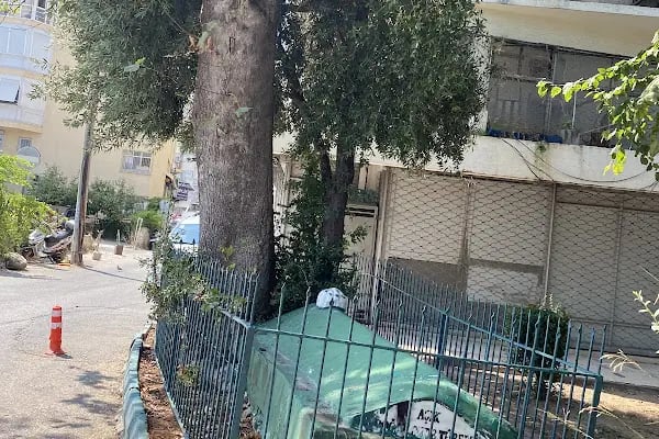 Aşık Doğan Dede Türbesi - Resim 10