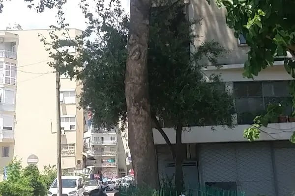 Aşık Doğan Dede Türbesi - Resim 1