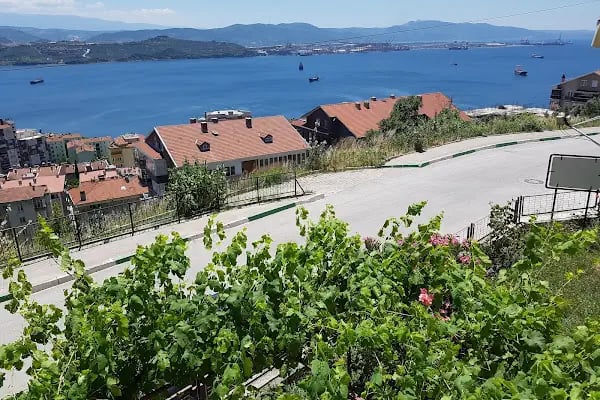 T.C. Gemlik Müftülüğü Hacı Ayşe Ziver Karataş Camii - Resim 4