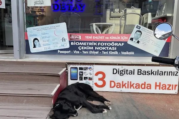 Foto Detay Beşevler - Resim 5