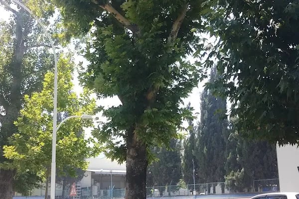 Akbaş Holding - Resim 4