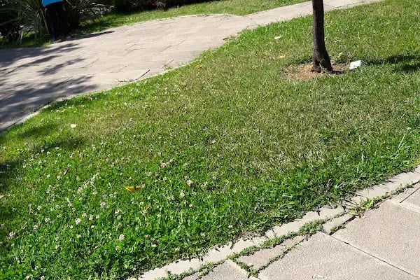23 Nisan Çocuk Eğlence Ve Trafik Eğitim Parkı - Resim 19