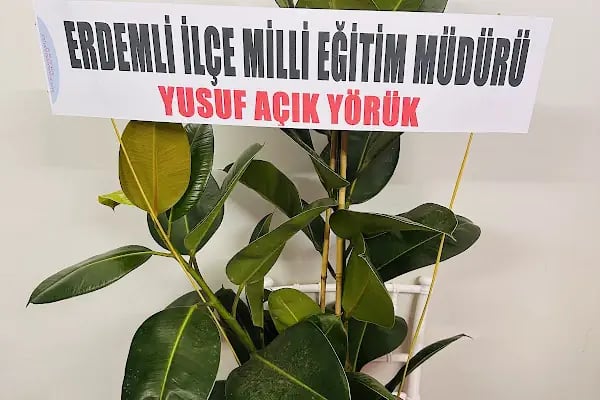Erdemli barış çiçekçilik ve fotoğrafçılık - Resim 12