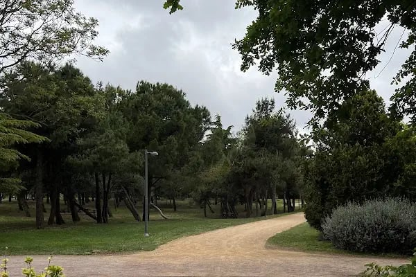 Florya Spor Tesisi Toprak Kortlar - Resim 18