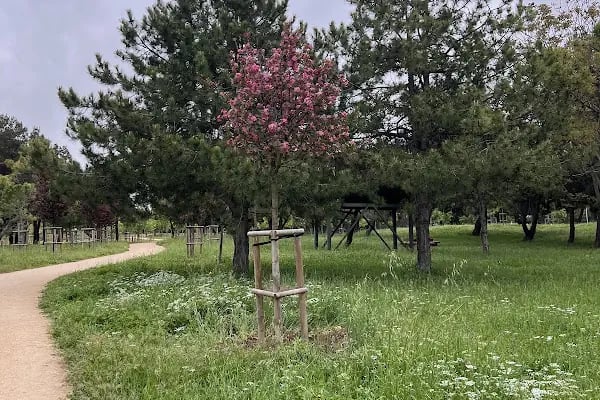 Florya Spor Tesisi Toprak Kortlar - Resim 20