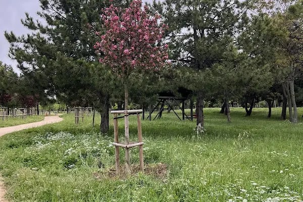 Florya Spor Tesisi Toprak Kortlar - Resim 12