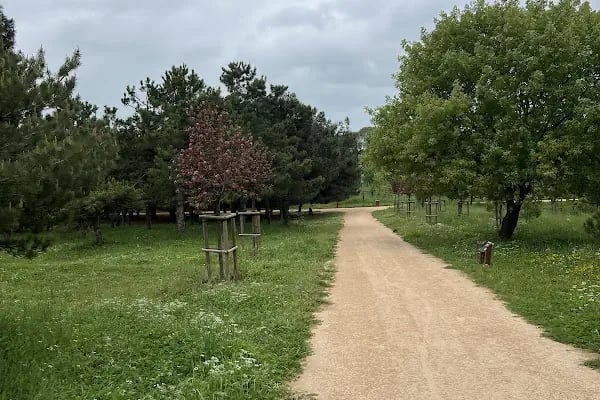 Florya Spor Tesisi Toprak Kortlar - Resim 17