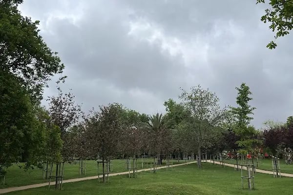 Florya Spor Tesisi Toprak Kortlar - Resim 5