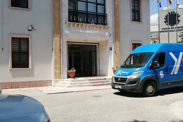 Ankara Üniversitesi Güzel Sanatlar Fakültesi - Resim 3