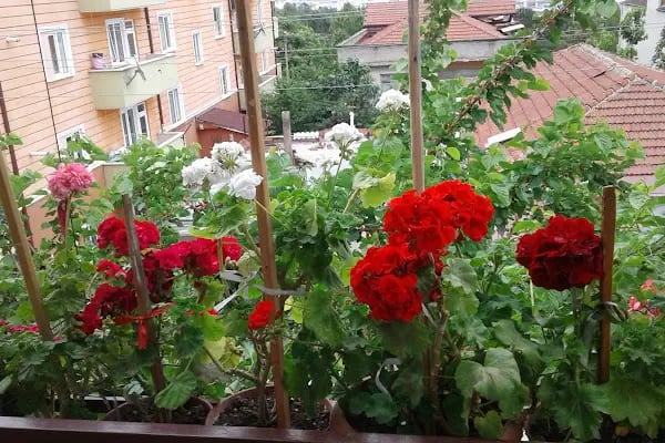 Hamıneli Çocuk Parkı - Resim 2