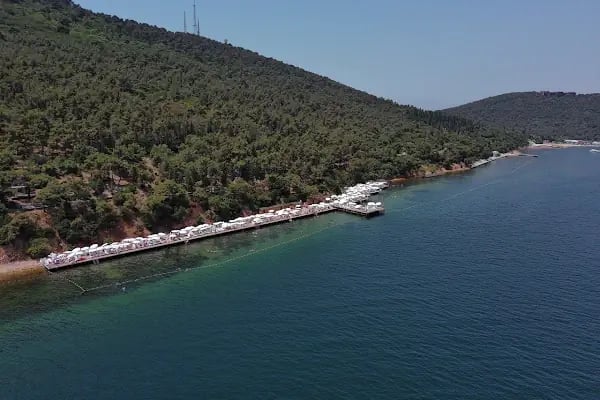 Beltur Büyükada Otel - Resim 12