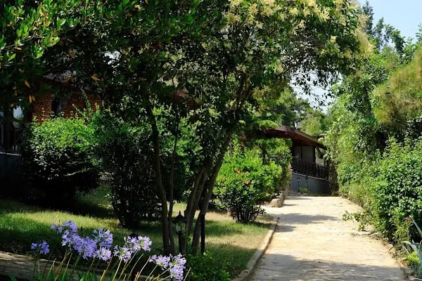 Beltur Büyükada Otel - Resim 10