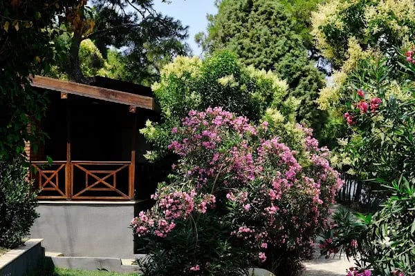 Beltur Büyükada Otel - Resim 9