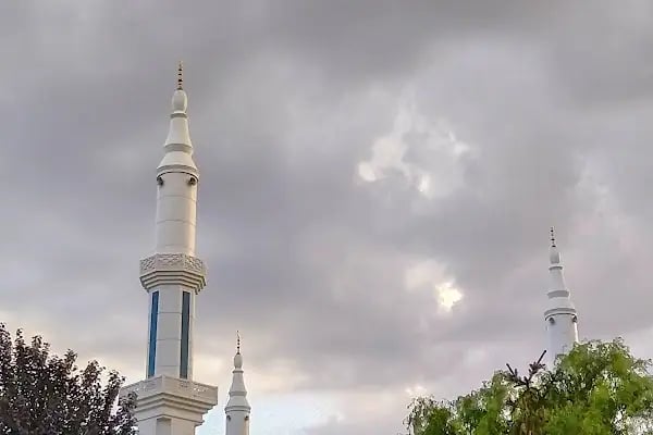 Stüdyo Saray - Resim 4