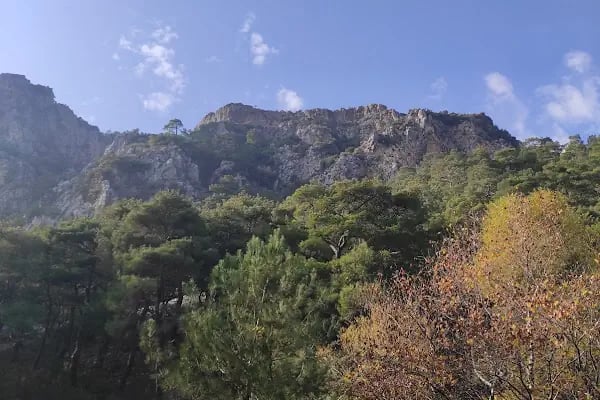 Şelale - Resim 13