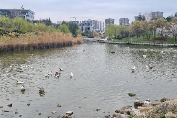 Göksu Parkı Açık Hava Tiyatrosu - Resim 14