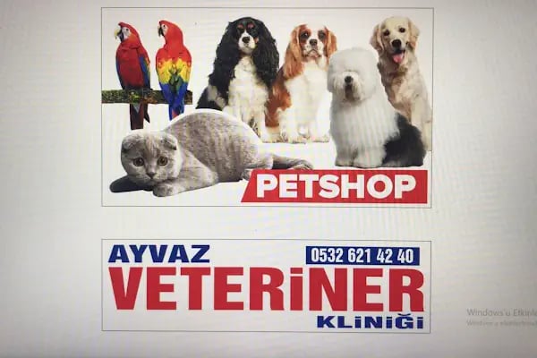 Ayvaz Veteriner Klinigi - Resim 20