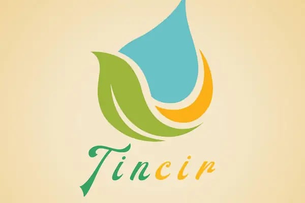 Tin incir Nazilli - Resim 6