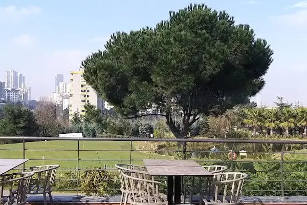 Olia Golf Restaurant - Resim 8
