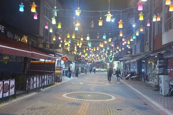 Büyükşehir Gönen Otogarı - Resim 9