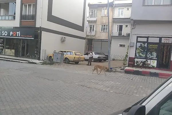 Çağatay Bayan Kuaförü - Resim 6