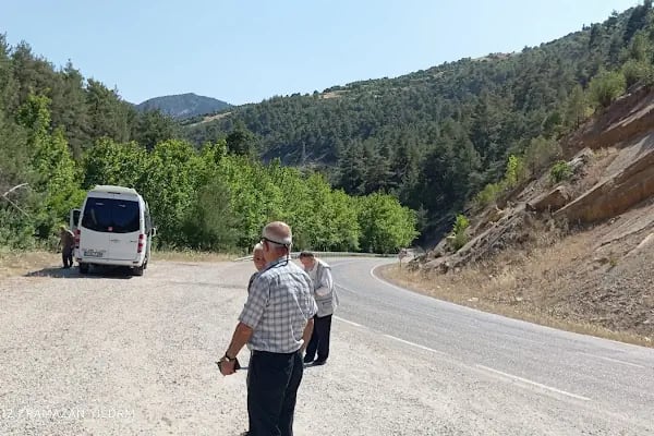 SAİMBEYLİ DOĞA KORUMA VE MİLLİ PARKLAR ŞEFLİGİ - Resim 8