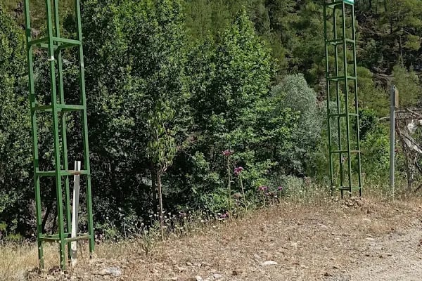 SAİMBEYLİ DOĞA KORUMA VE MİLLİ PARKLAR ŞEFLİGİ - Resim 14