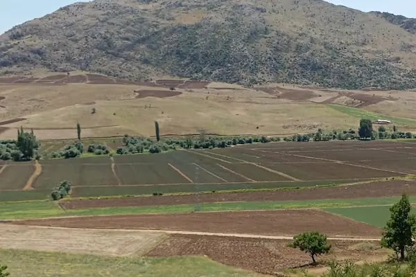 SAİMBEYLİ DOĞA KORUMA VE MİLLİ PARKLAR ŞEFLİGİ - Resim 13