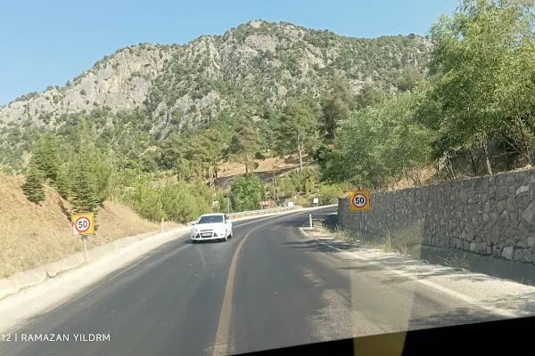 SAİMBEYLİ DOĞA KORUMA VE MİLLİ PARKLAR ŞEFLİGİ - Resim 19