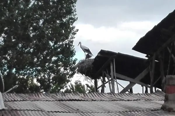 Büyükgeçit İlköğretim Okulu - Resim 15