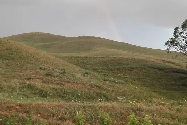 Büyükgeçit İlköğretim Okulu - Resim 5