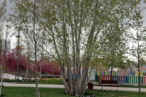 Erdal İnönü Kapalı Yüzme Havuzu - Resim 16