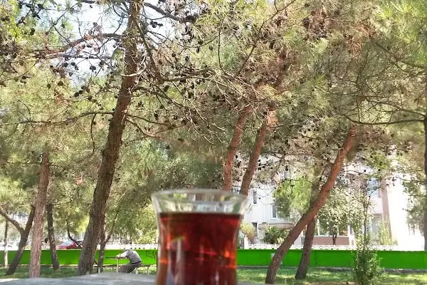 Karacabey Adalet Sarayı - Resim 15