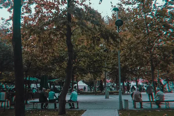 Sakarya Büyükşehir Belediyesi - Resim 16